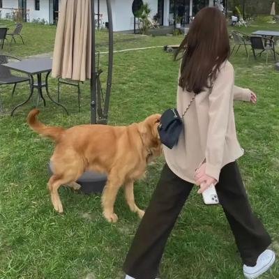 连环杀手夫人